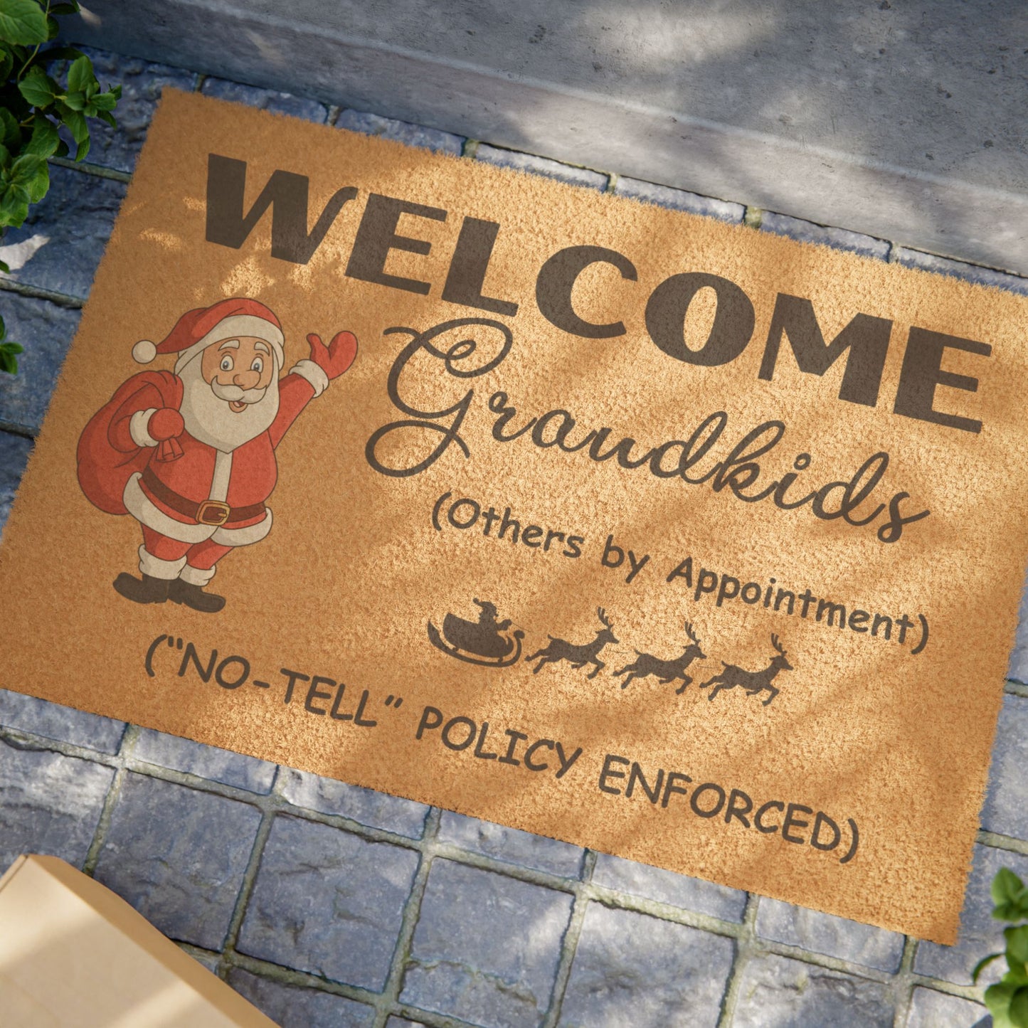 Christmas Doormat for Grandparents' doorway, Santa Welcomes Grandkids, Others need an appointment, Perfect Christmas Decor for entryway