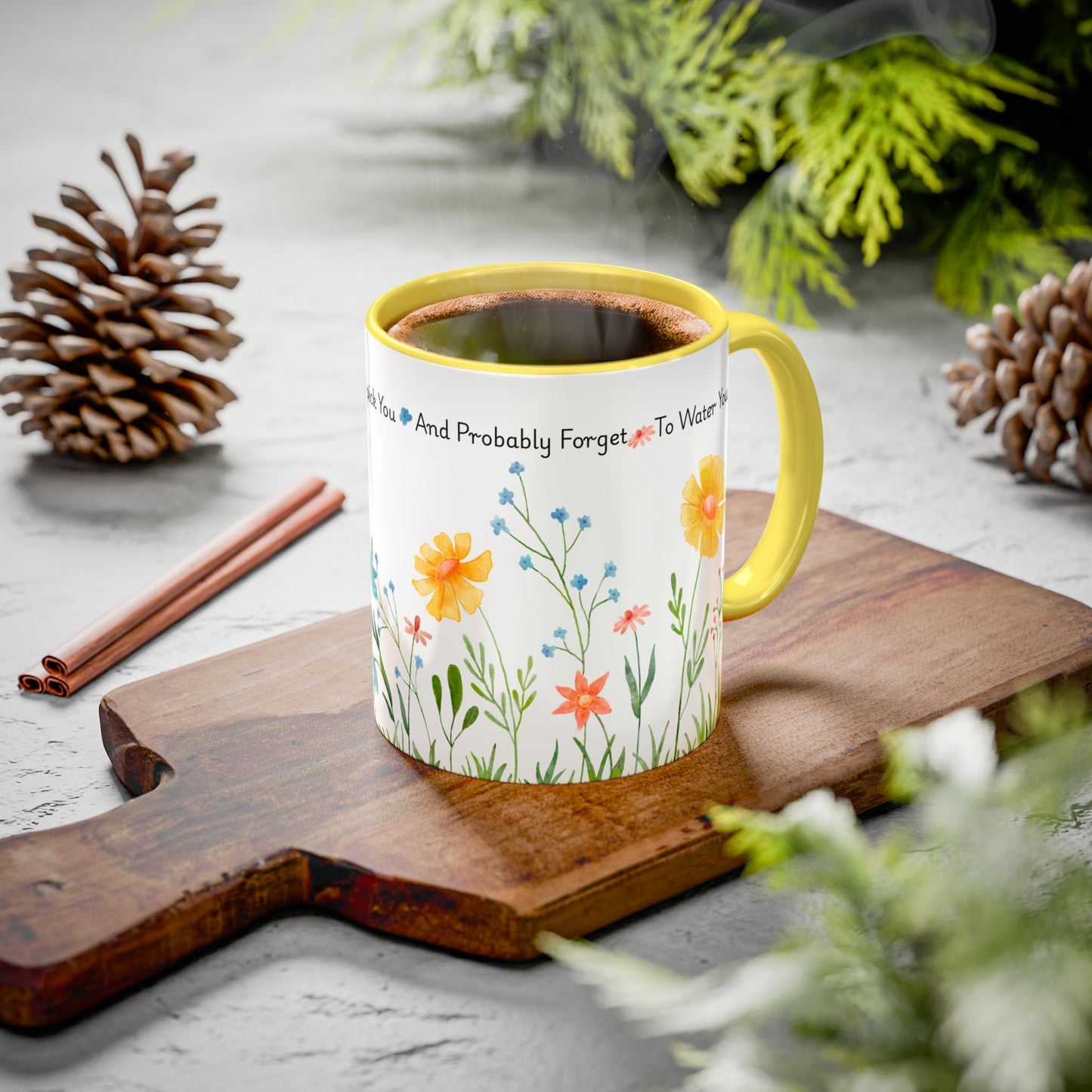 Funny Mother’s Day Mug , If Moms Were Flowers, I’d Pick You (and Forget to Water You) Floral Garden Ceramic Mug, 11 oz, Multiple Accent Colors Perfect Gift for Moms, Garden Lovers, sisters, Grandma